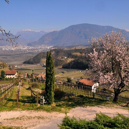 Firmelein Apartment Appiano Sulla Strada Del Vino Bagian luar foto