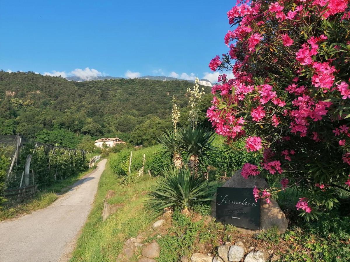 Firmelein Apartment Appiano Sulla Strada Del Vino Bagian luar foto
